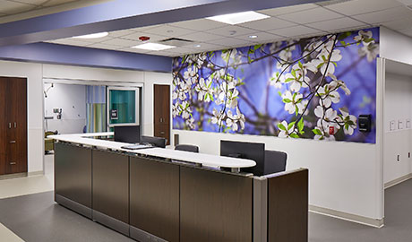 Rush Oak Park Hospital Emergency Department 