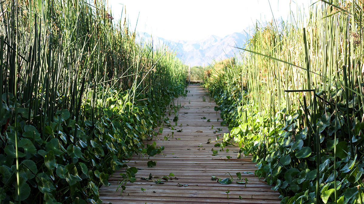 Tres Rios Environmental Restoration