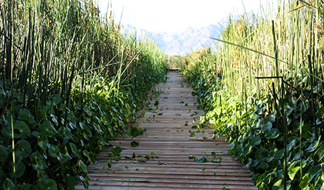 Tres Rios Environmental Restoration