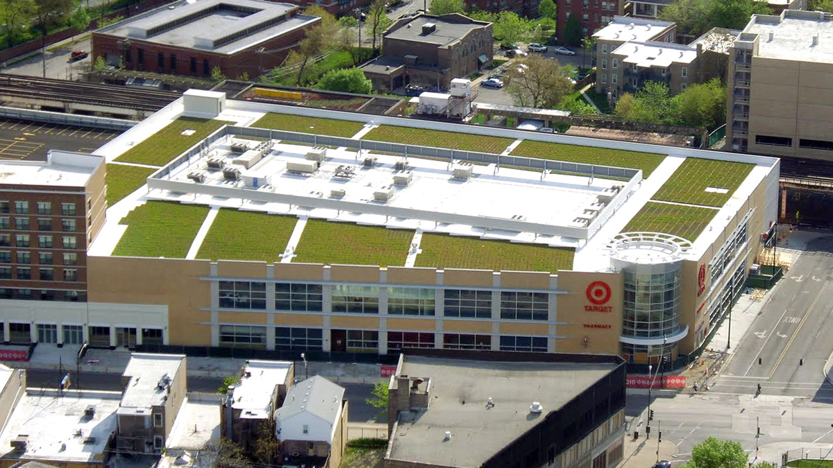 Wilson Yard