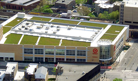 Wilson Yard